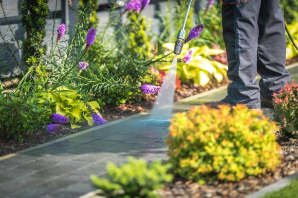 Professional Pressure Washing Services in Waynesboro, PA